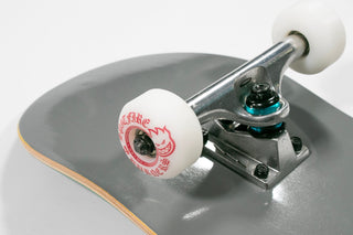 ANTI HERO TEAM PIGEON COMPLETE