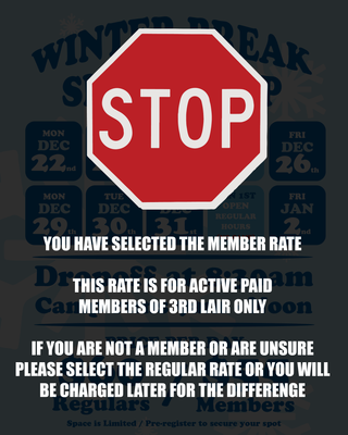 WINTER BREAK SKATEBOARD CAMP
