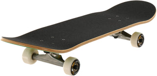 ANTI HERO CLASSIC EAGLE COMPLETE