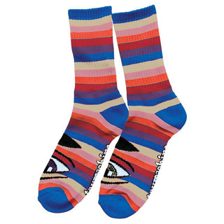 TOY MACHINE SECT EYE RAINBOW SOCKS