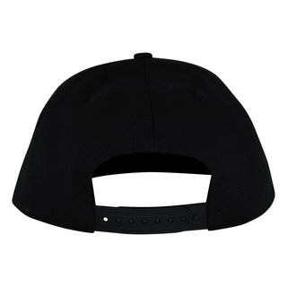 SANTA CRUZ DRESSEN CELTICDOGS SNAPBACK STRUCTURED HAT