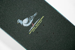 ANTI HERO TEAM PIGEON COMPLETE