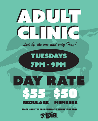 2025 ADULT SKATEBOARD CLINIC (DAY RATE)